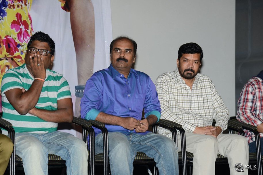 Dhee-Ante-Dhee-Movie-Platinum-Disc-Function